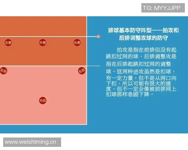 重庆排球队反击战术深度解析与实战应用探讨